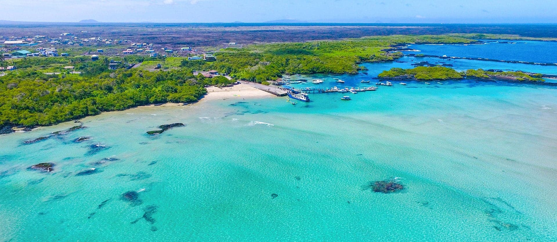 Into the wild: Galapagos & Isabela Island