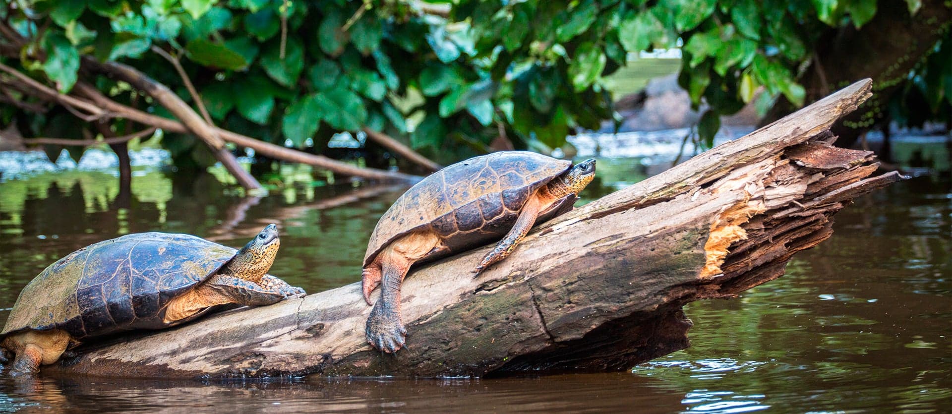 Costa Rica al completo