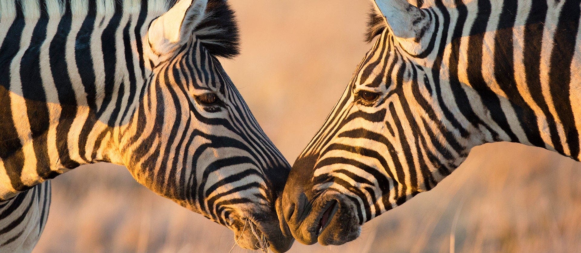 Cataratas, Safaris y Dunas 
