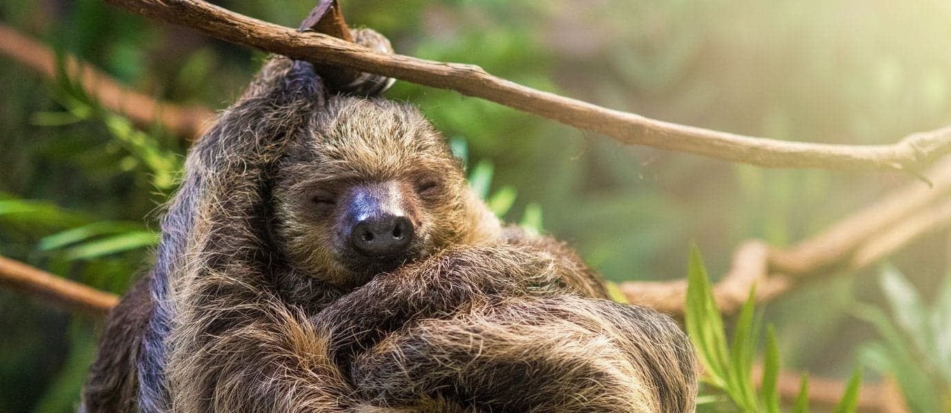 Off the Map: Inca Lands & Real Amazon