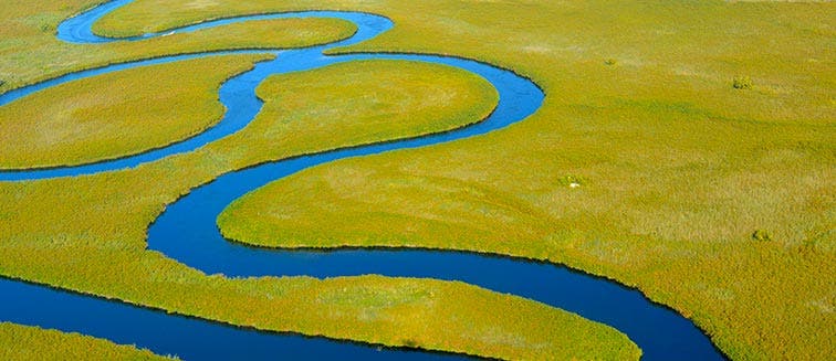 Qué ver en Botswana Okavango Delta
